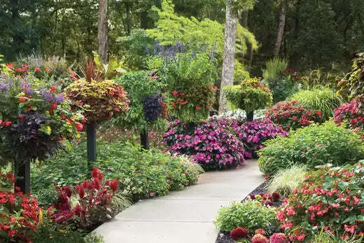 Stress Therapy In Gardening | Tn Nursery - TN Nursery