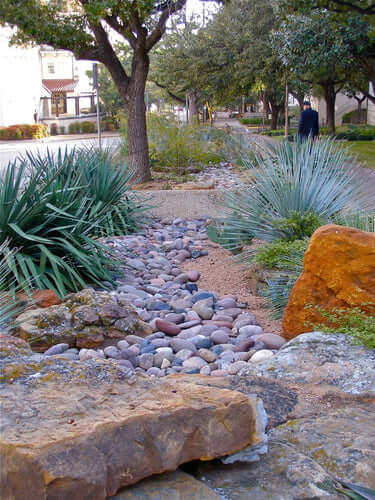 5 Ways to Save Money With Xeriscaping - TN Nursery