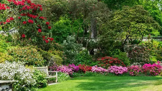 Preventive Measures When it Comes To Your Perennial Garden - TN Nursery