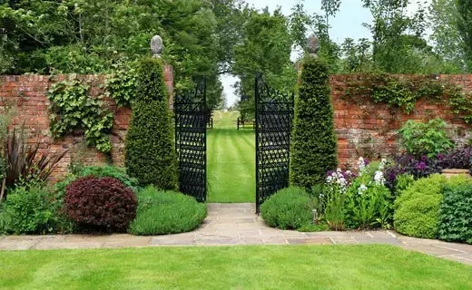 Architectural Simplicity in Gardening with Native Plants - TN Nursery