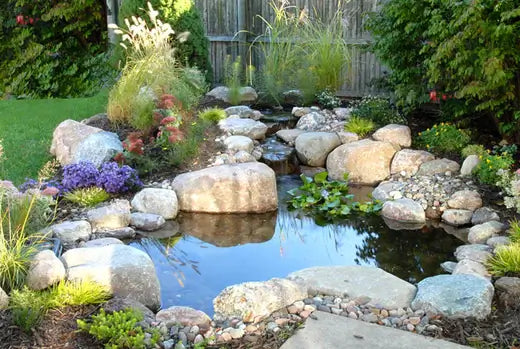 7 tips Pond Cleaning Guide. - TN Nursery