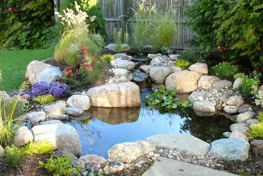 Simple Water Gardens for Your Home - TN Nursery