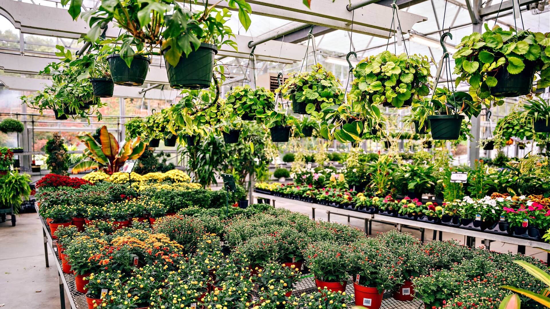 Nursery
