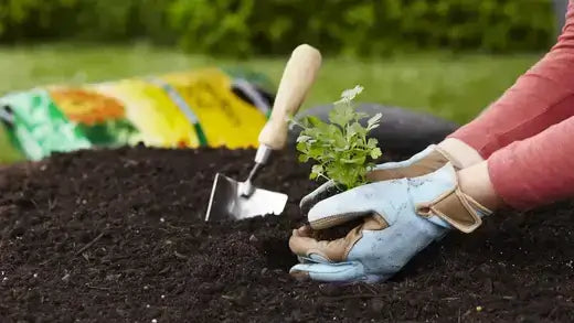 DIY Gardening Tips 