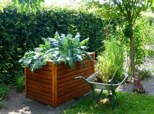 Raised Garden Beds 