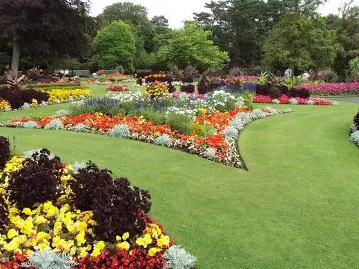 Living Art - Garden Flower Ideas - TN Nursery