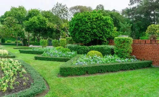 Geometric Lawn and Landscaping - TN Nursery