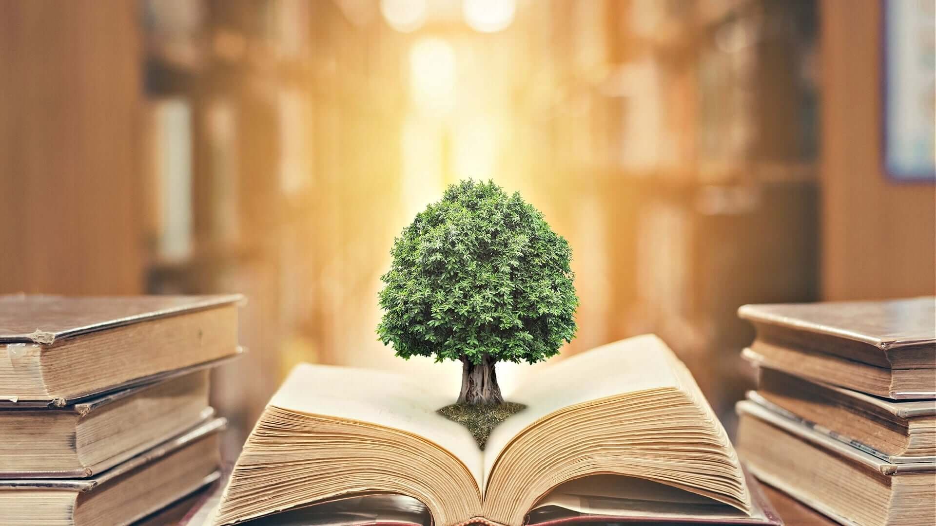 Plant History and Folklore: Exploring the Rich Tapestry of Nature's Contributions to Human Culture - TN Nursery