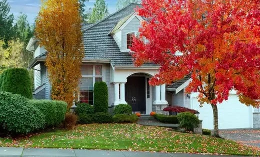 The Many Benefits of Trees In Landscaping - TN Nursery
