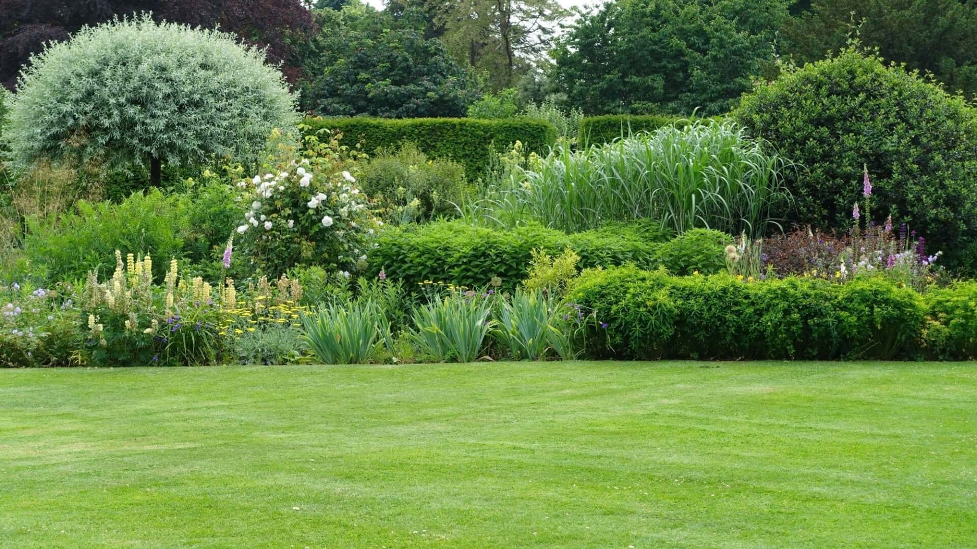 The Art and Beauty of Ornamental Gardens - TN Nursery