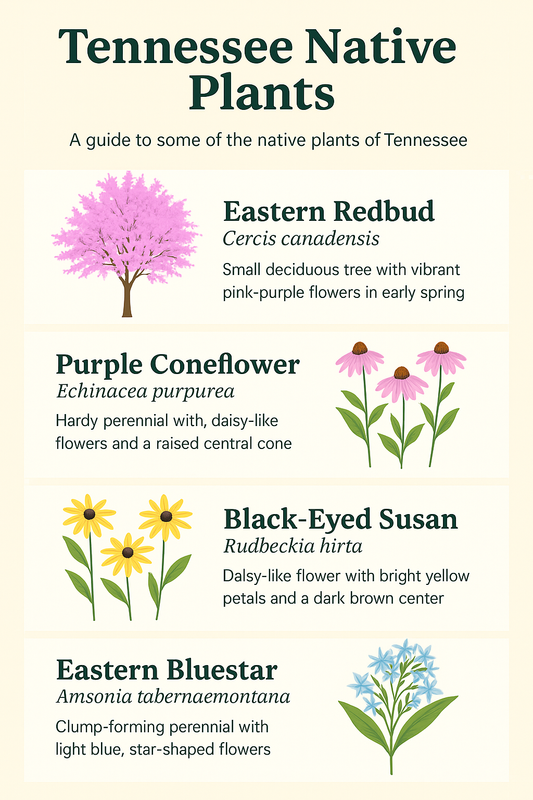 Tennessee's Native Plants