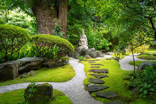 Buy plants online from a Trusted Tennessee nursery