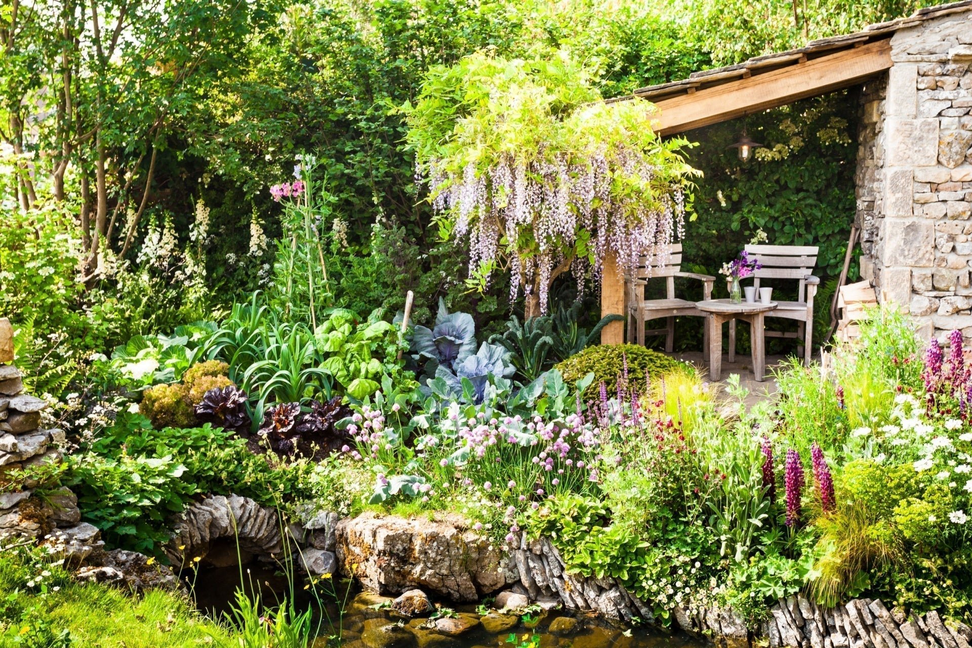 Best Shade-Loving Perennials