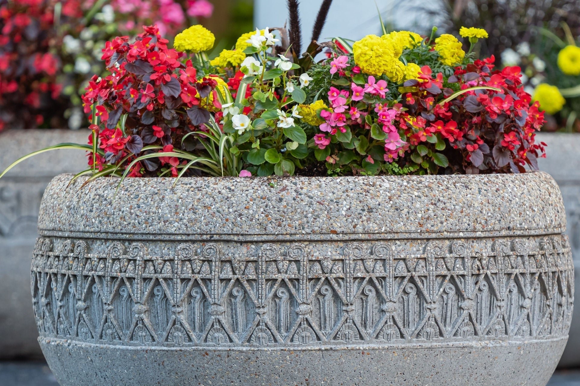 Container Gardening