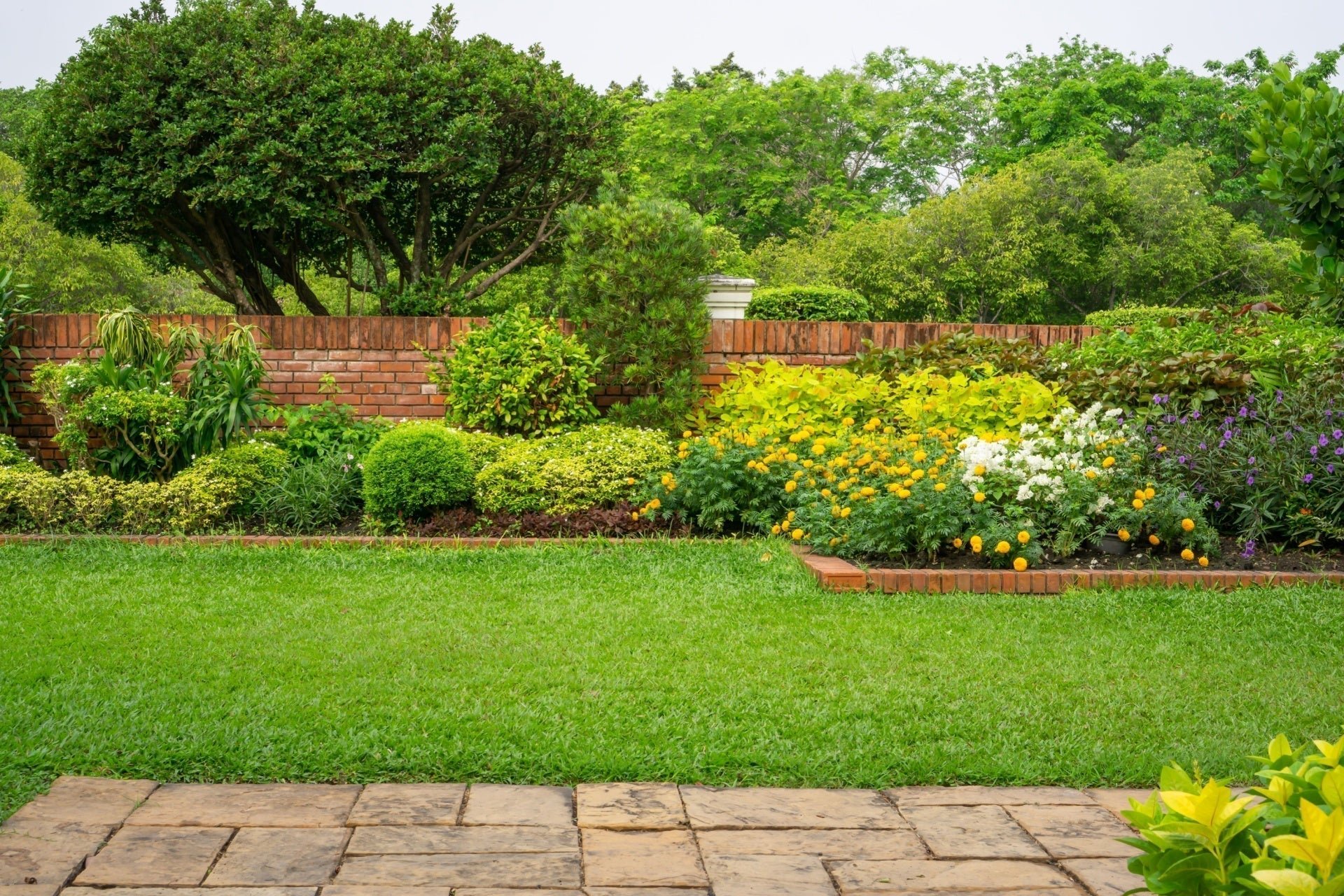 Shrubs: Beauty & Practical Benefits