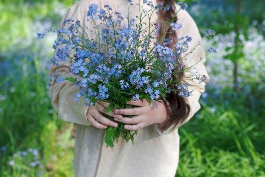 forget me not flower
