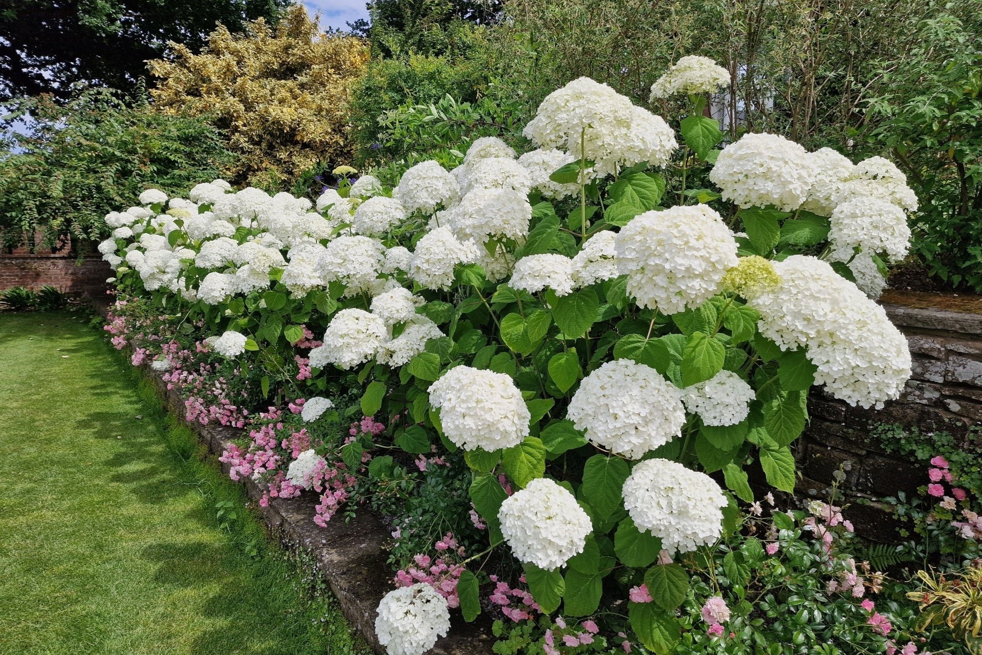 Organic Gardening Solutions