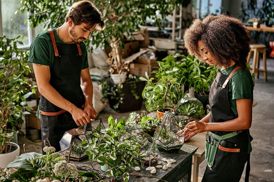 Plant Store Near Me