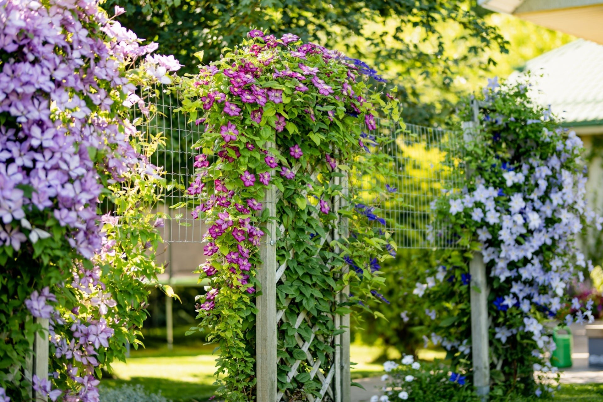 Gardens