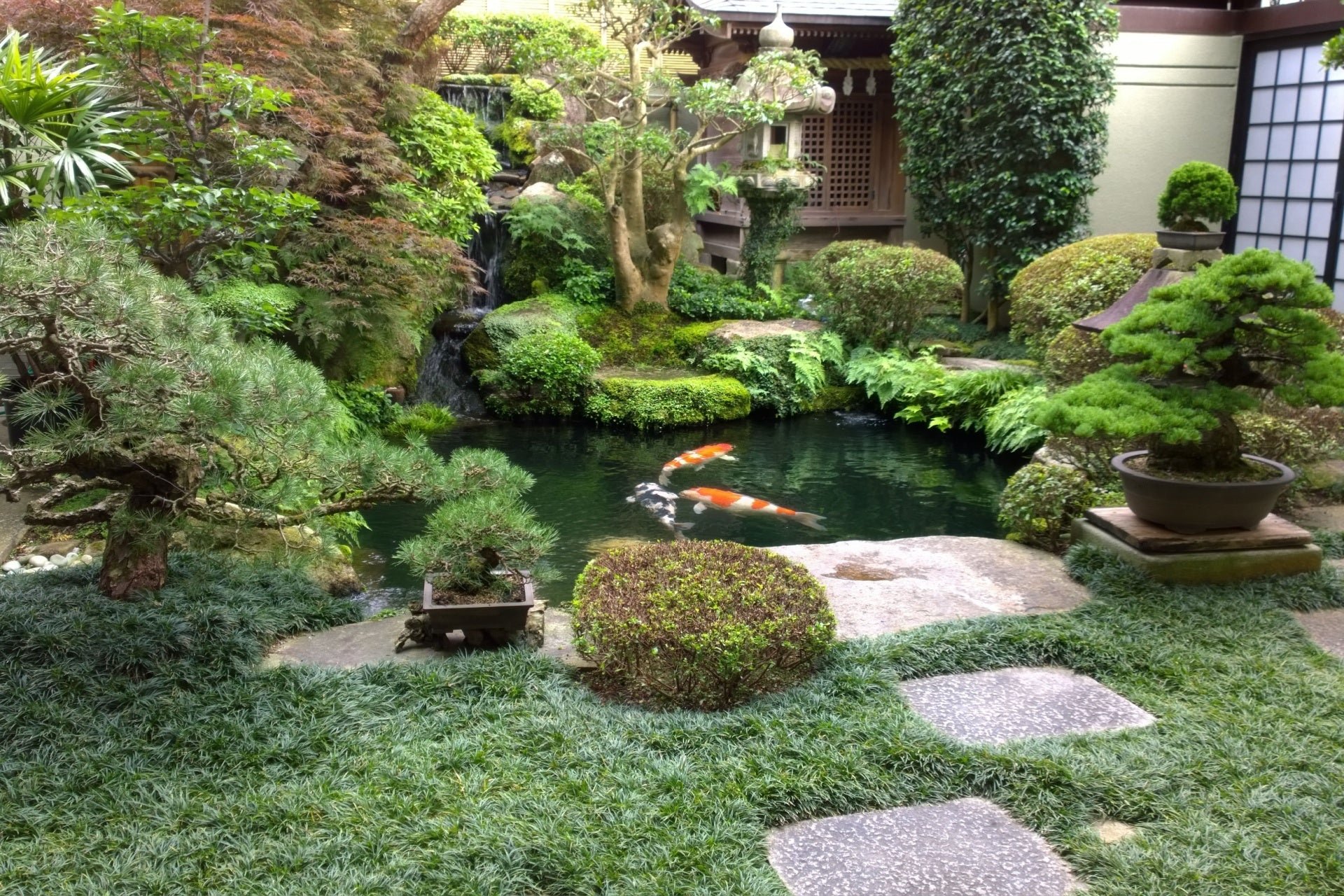 Moss Gardening