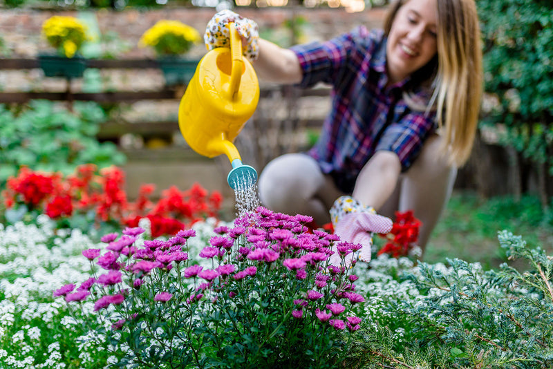 Your Guide to Spring Planting Flowers: Tips & Tricks