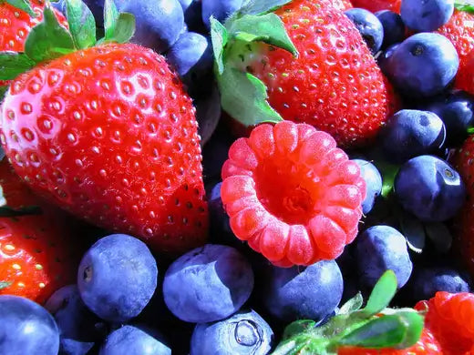 A Berry Nice Garden: What to Get | TN Nursery - TN Nursery