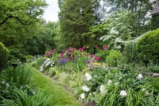 Creating A Monarch Butterfly-Friendly Garden - TN Nursery