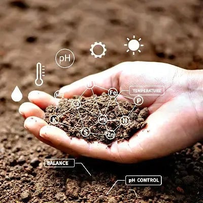 Science In Gardening: Tips and Tricks - TN Nursery