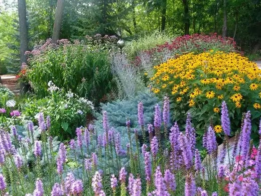 10 Planting Tips For a Gorgeous Spring Garden - TN Nursery