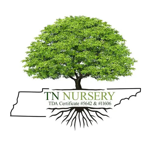 About Tn Nursery - TN Nursery