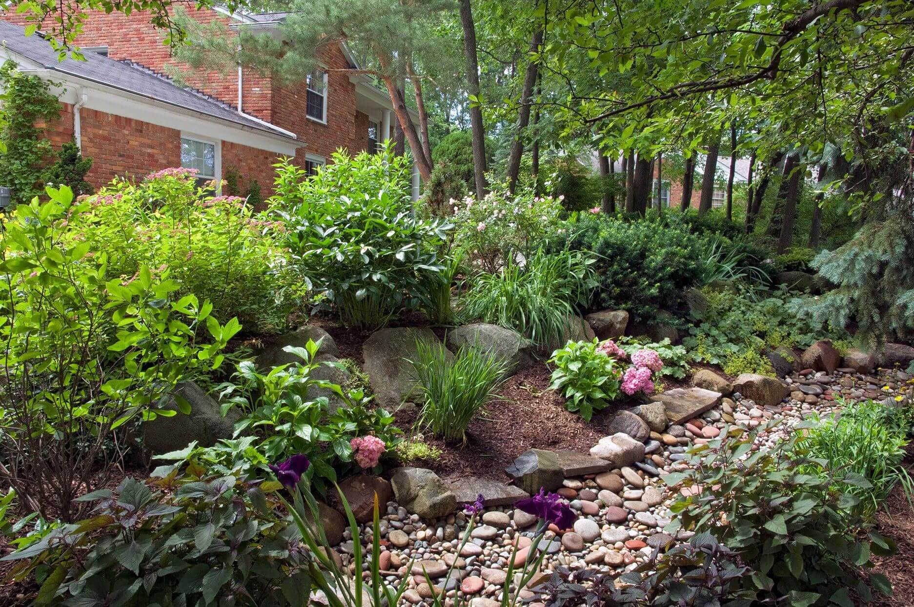 Creating Rain Gardens with Native Plants