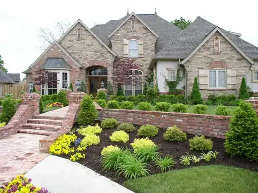 Beautiful landscaped front yard - How to Solve and Control Stagnant Water