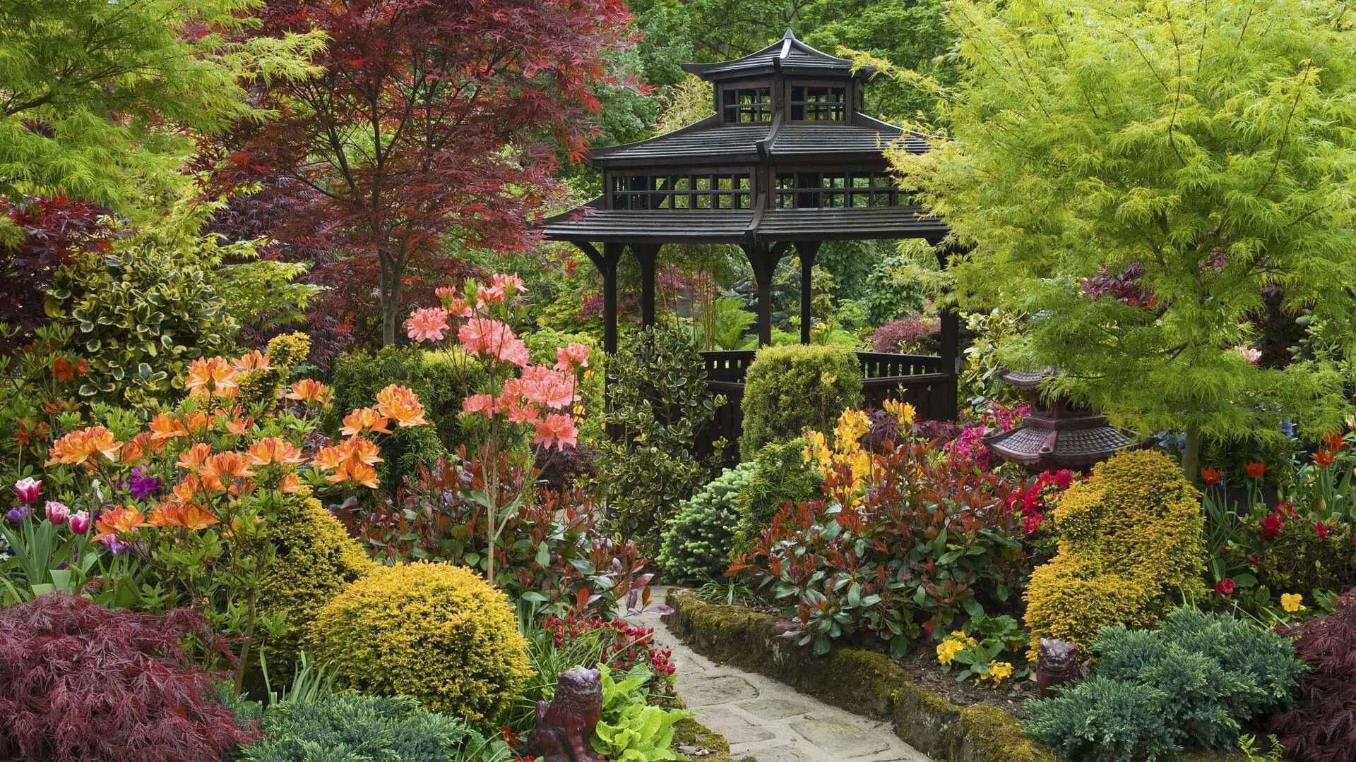 Plant Nursery Near Me - TN Nursery