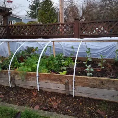 9 Winter Gardening Tips For Plant Protection and Care - TN Nursery