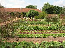 Best Time to Grow Vegetables | Facts - TN Nursery