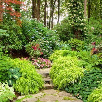 Top Gardening Ideas and Tips - TN Nursery