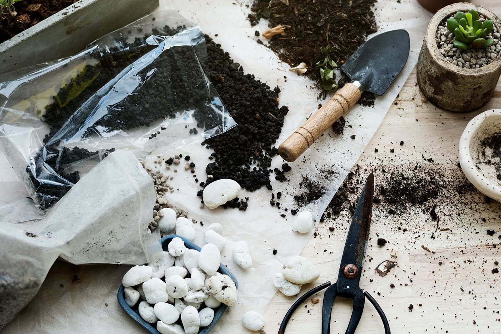 Get Ready: Winter Garden Preparation for Spring Success