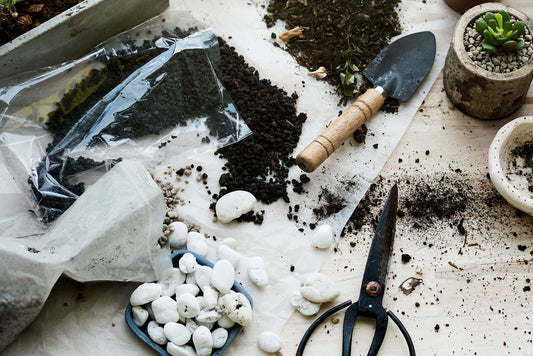 Get Ready: Winter Garden Preparation for Spring Success