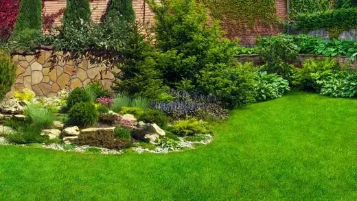 Landscaping on a Budget | TN - TN Nursery