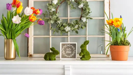 Decorating Your Home | Information | TN Nursery - TN Nursery