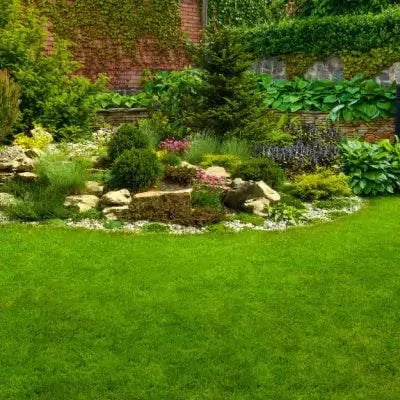 10 Summer Gardens Ideas and tips - TN Nursery