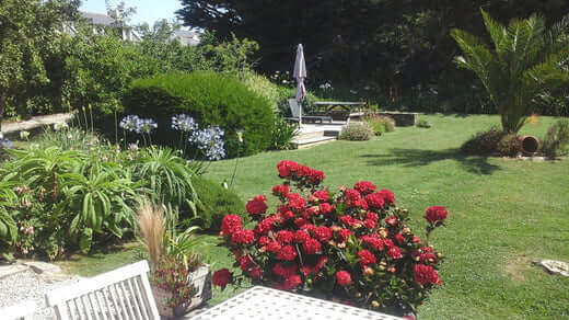 Choosing Perennials For Your Garden - TN Nursery