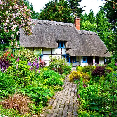 English Cottage Gardens Ideas | What to Know - TN Nursery