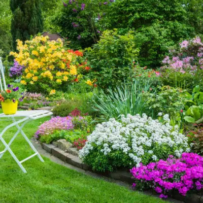 Enhancing Your Garden's Beauty - TN Nursery