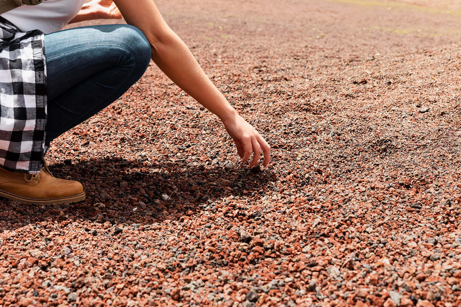 Waking Soil: Revive Your Garden for Spring Success