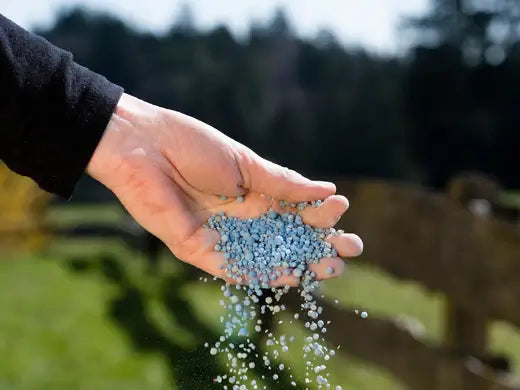 Fertilizing Your Lawn | Facts and Information - TN Nursery
