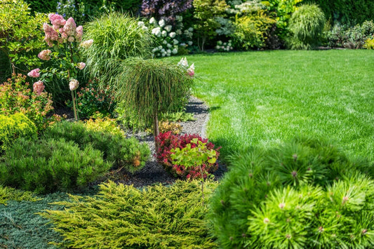Landscaping with colorful plants - Tips to Save Money On Landscaping