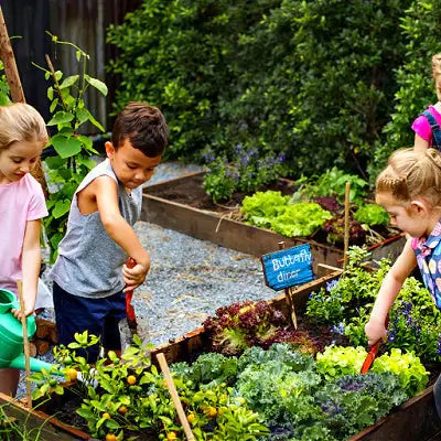 Gardening with Children | TN Nursery - TN Nursery