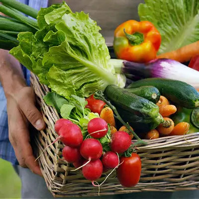 Growing a Garden with Healthy Foods - TN Nursery