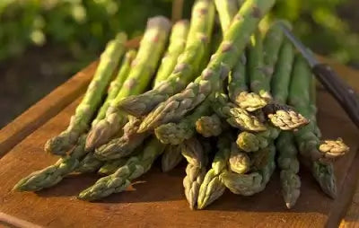 Growing Asparagus in Your Garden - TN Nursery